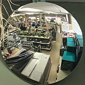 Meet your Posher, Asia